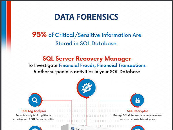 data forensics brochure